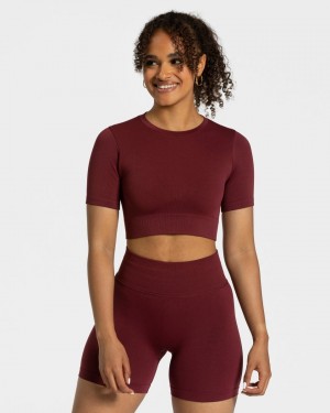 Hauts Teveo Sensation Crop Femme Bordeaux | 7164-HBIVC