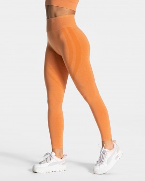 Leggings Teveo Evolution V2 Femme Orange | 2439-DYMFR