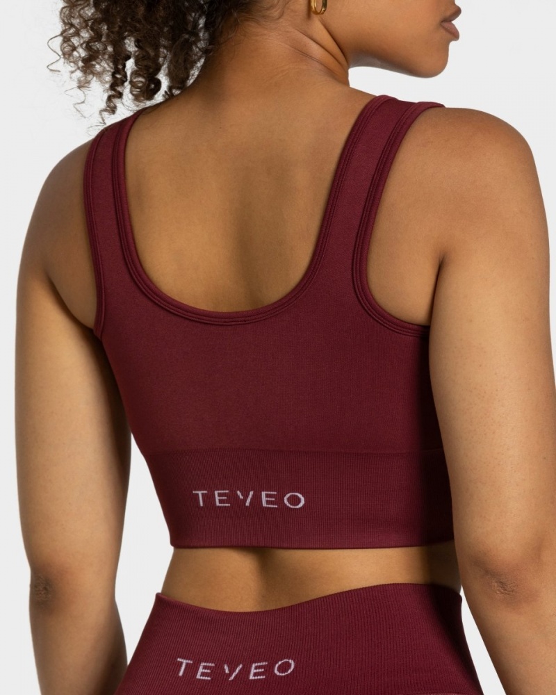 Soutien Gorge Teveo Sensation Femme Bordeaux | 5297-GQYUJ