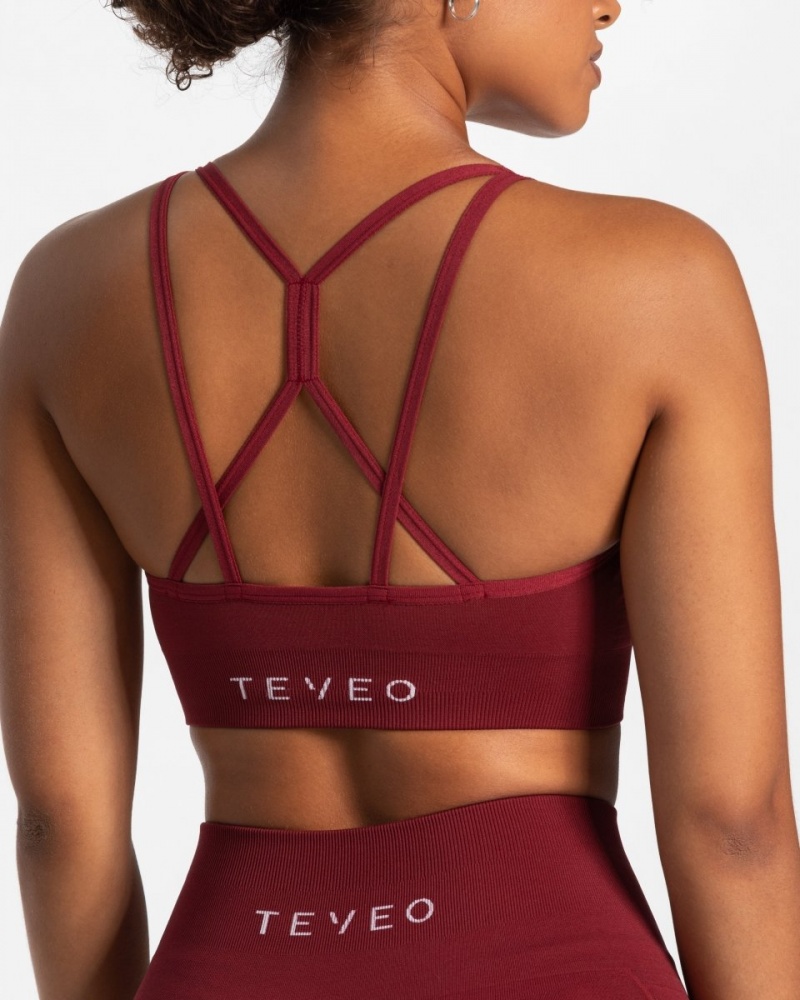 Soutien Gorge Teveo True Femme Bordeaux | 1384-LAOIH