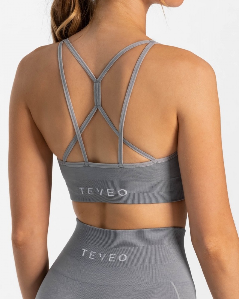 Soutien Gorge Teveo True Femme Grise Bleu | 1294-JRPQO